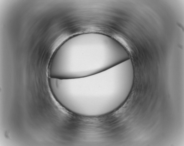 X0000096411047200801241021