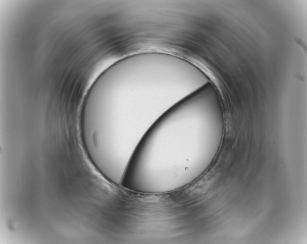 X0000096411048200801241021