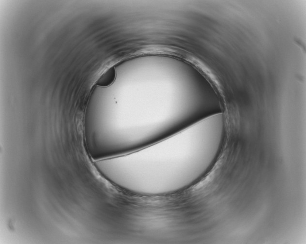 X0000096411049200801241021