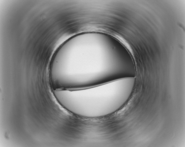 X0000096411053200801241021