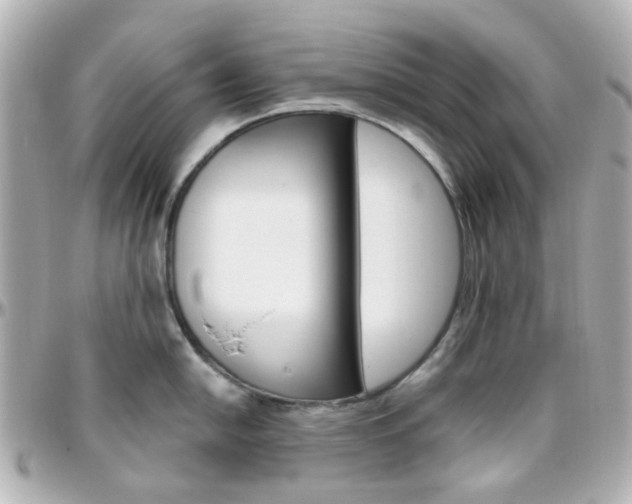 X0000096411054200801241021