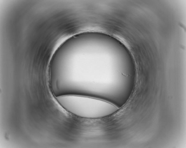 X0000096411056200801241021