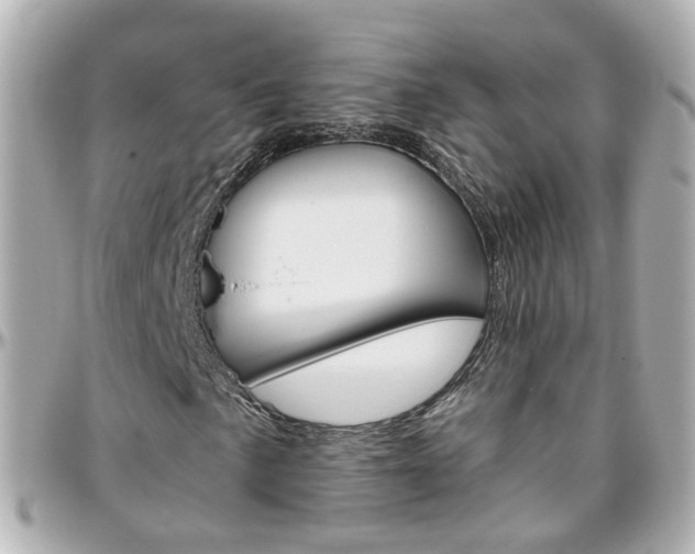 X0000096411057200801241020