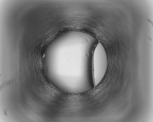X0000096411058200801241020