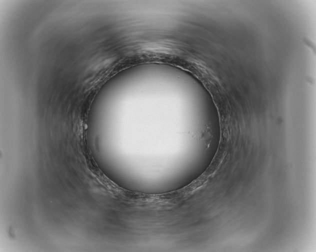 X0000096411061200801241020