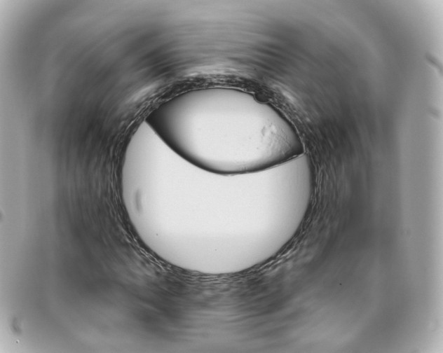 X0000096411062200801241020