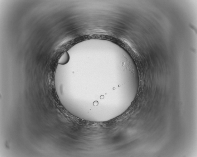 X0000096411063200801241020