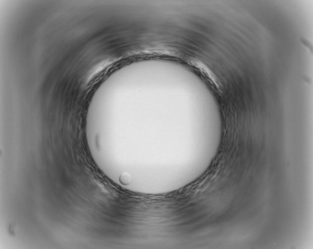 X0000096411064200801241020