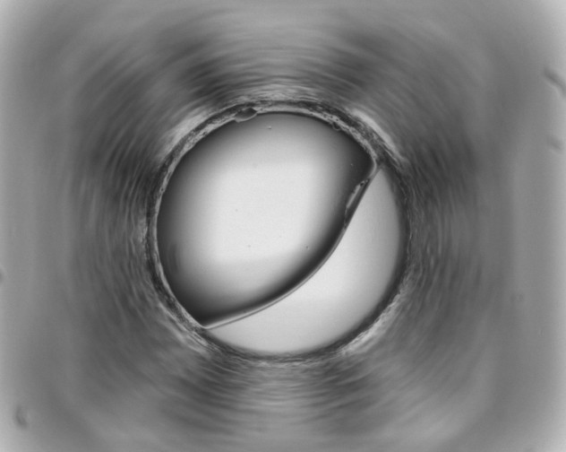 X0000096411065200801241020