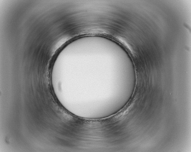 X0000096411071200801241020