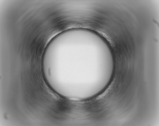 X0000096411073200801241020