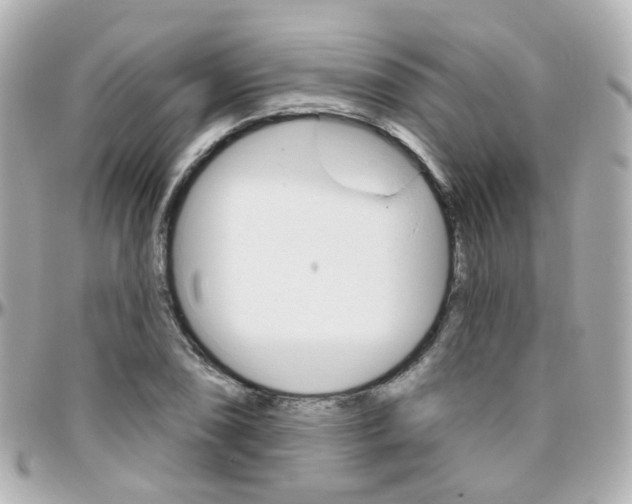 X0000096411074200801241020