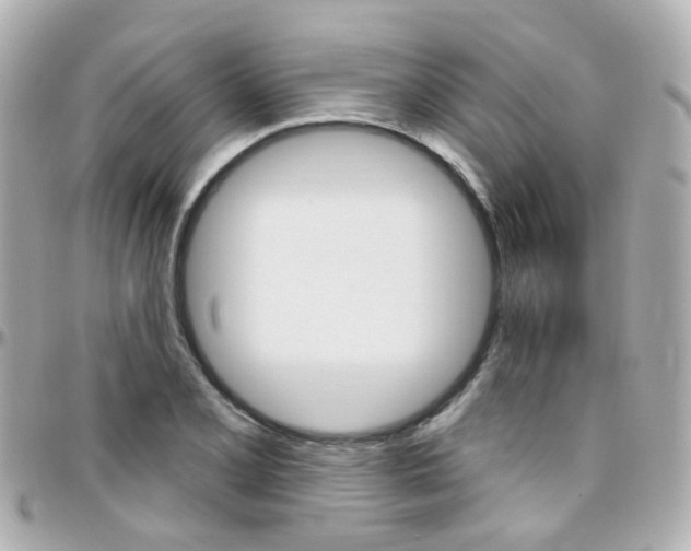 X0000096411077200801241020