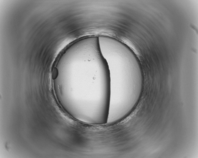 X0000096411079200801241020