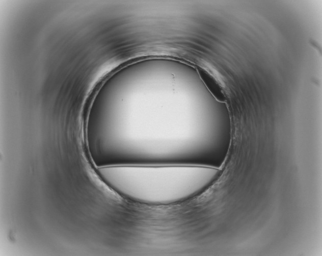 X0000096411080200801241020