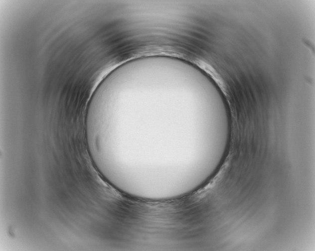 X0000096411089200801241020