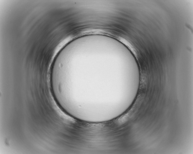 X0000096411090200801241020