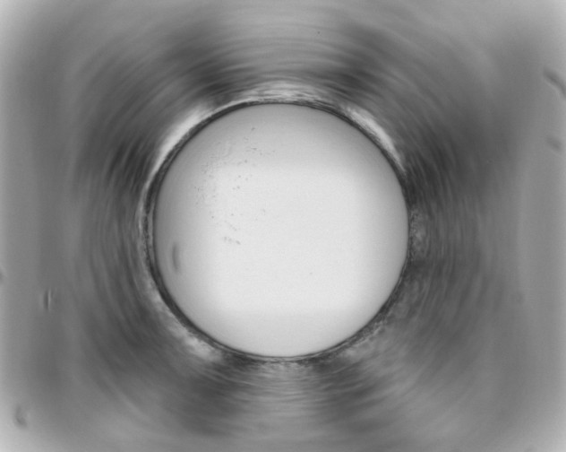 X0000096411091200801241020