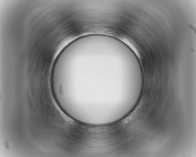 X0000096411093200801241020