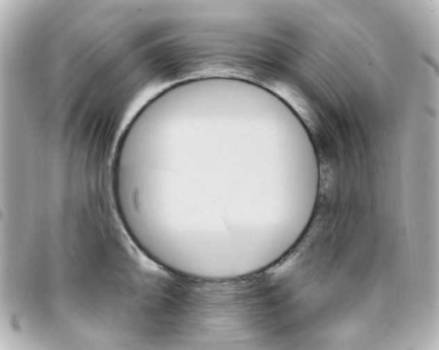 X0000096411094200801241020
