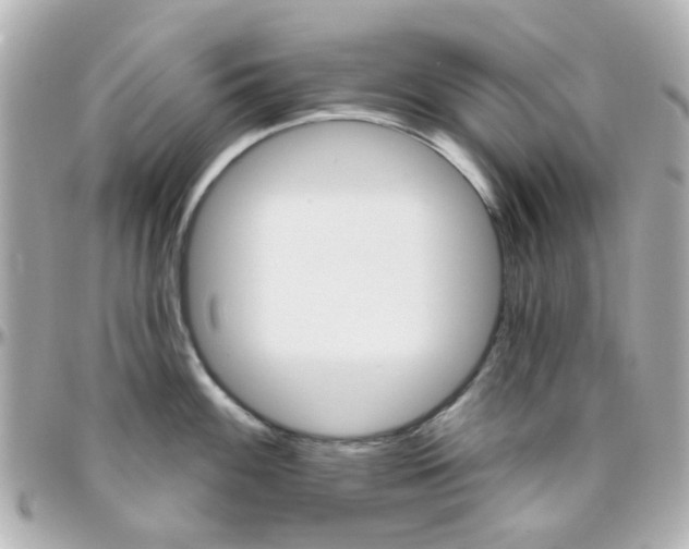 X0000096411100200801241020