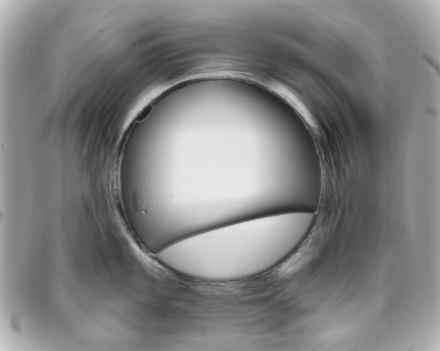 X0000096411101200801241020