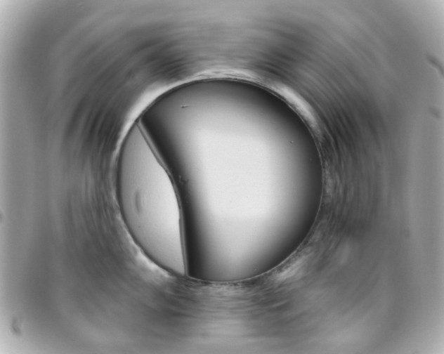 X0000096411102200801241020