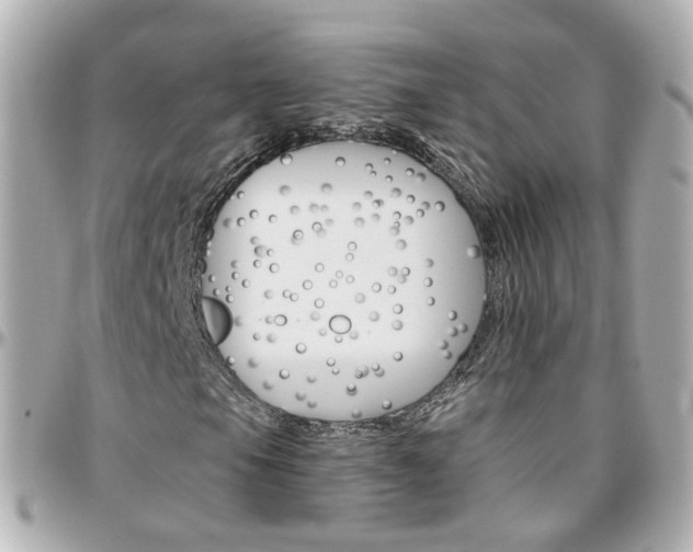 X0000096411105200801241019