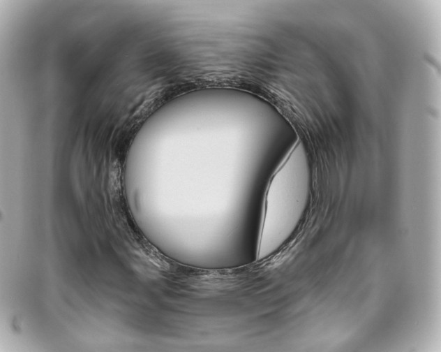 X0000096411107200801241019