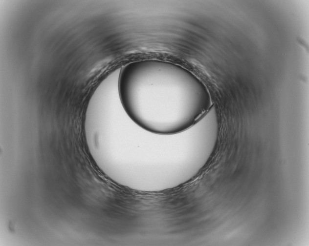 X0000096411110200801241019