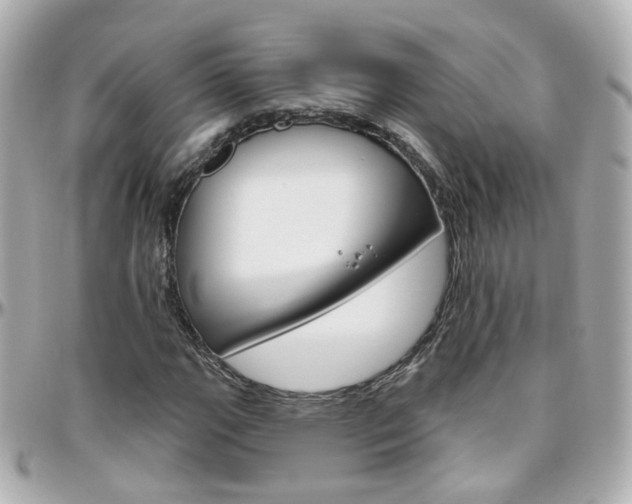 X0000096411111200801241019