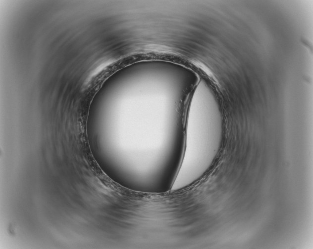 X0000096411112200801241019