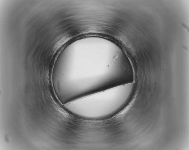 X0000096411113200801241019