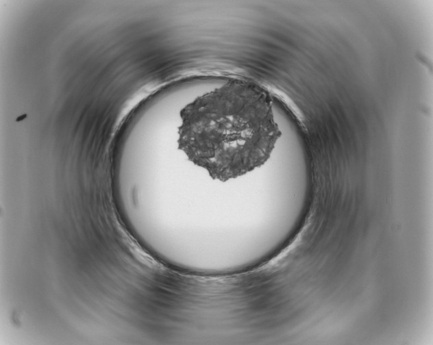 X0000096411114200801241019