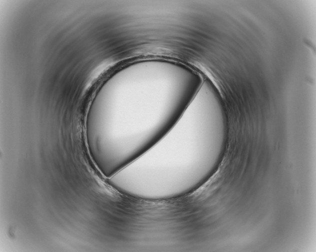 X0000096411115200801241019