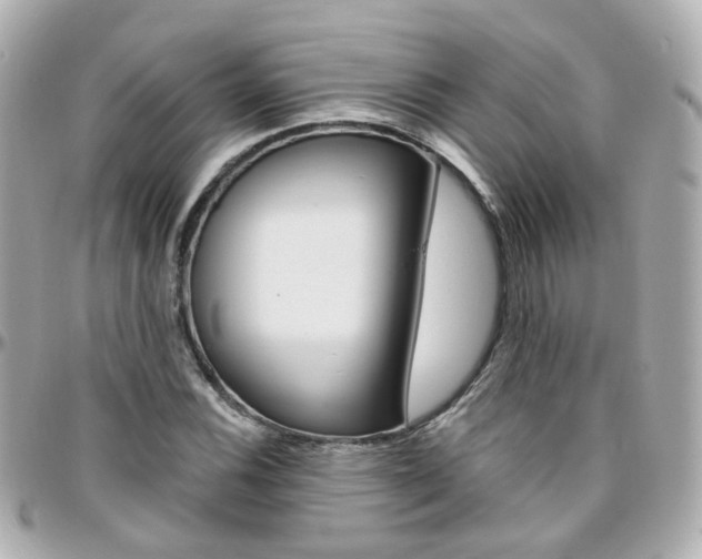 X0000096411116200801241019