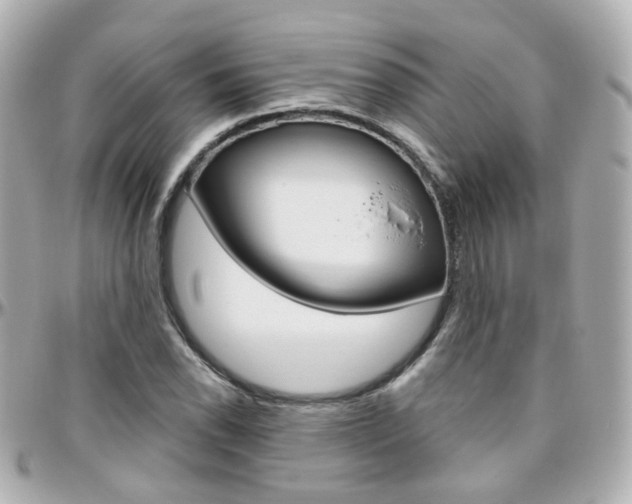 X0000096411118200801241019