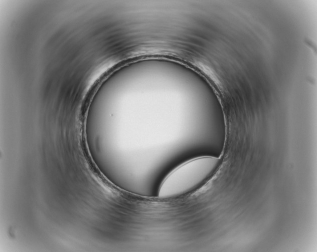 X0000096411119200801241019