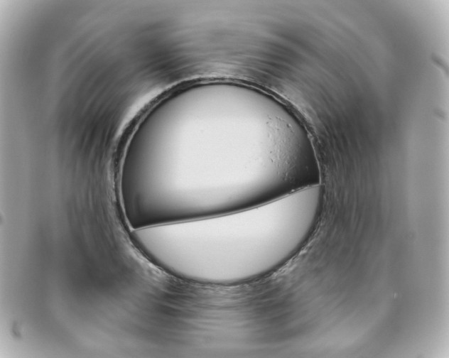 X0000096411120200801241019
