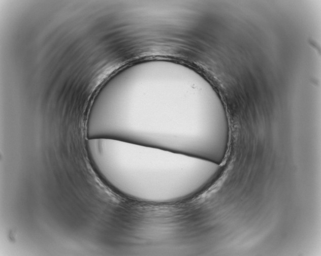 X0000096411121200801241019