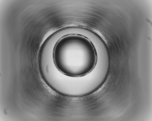 X0000096411122200801241019