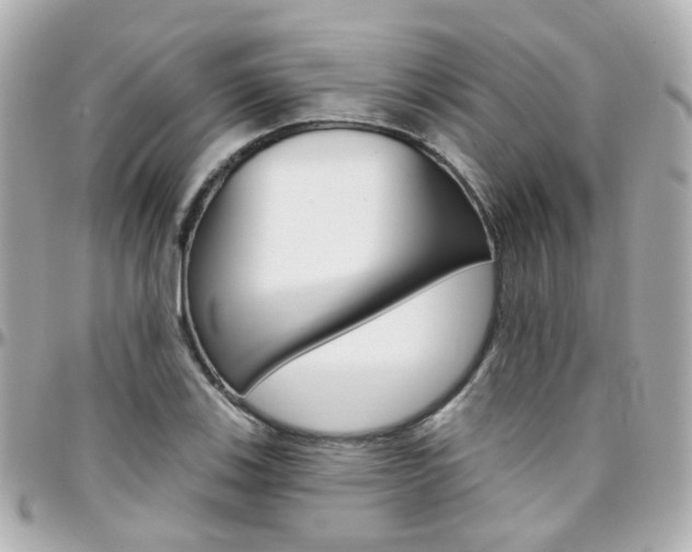 X0000096411123200801241019