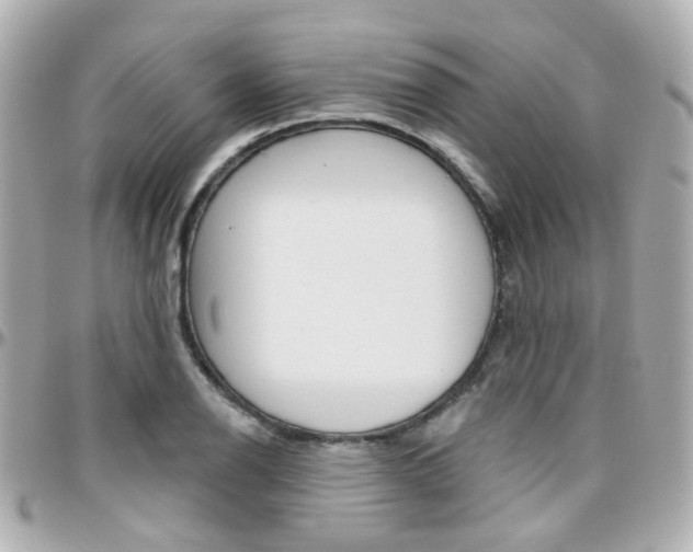 X0000096411126200801241019