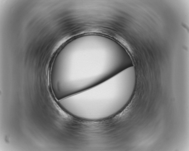 X0000096411127200801241019
