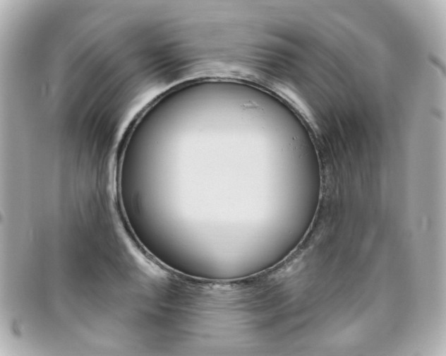 X0000096411128200801241019