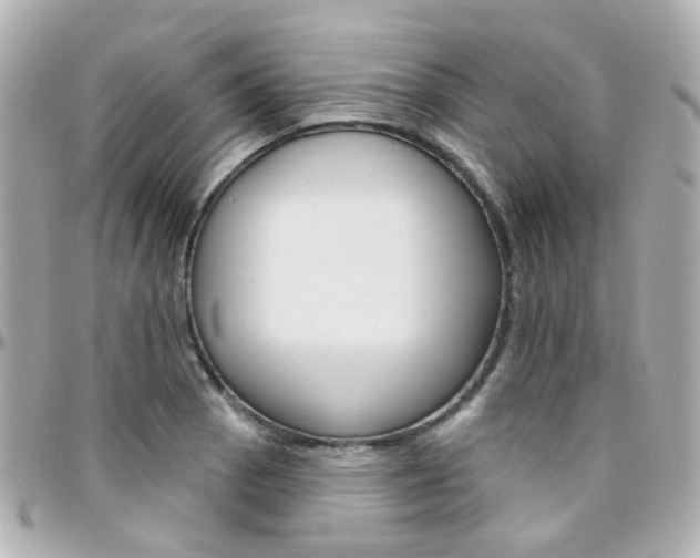X0000096411129200801241019