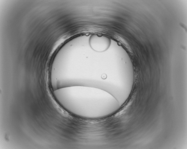 X0000096411130200801241019