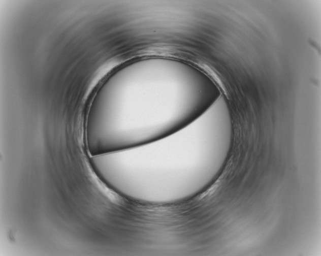 X0000096411131200801241019