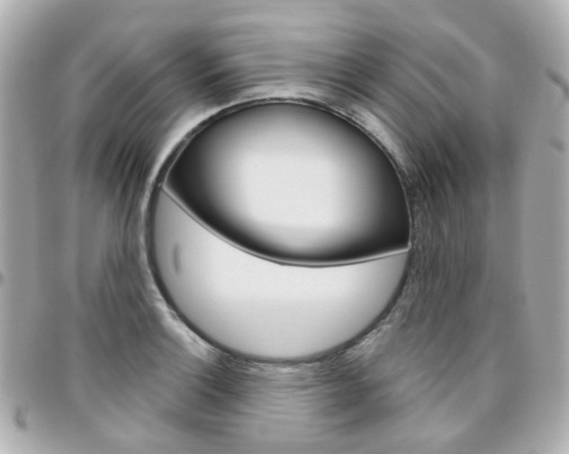 X0000096411132200801241019