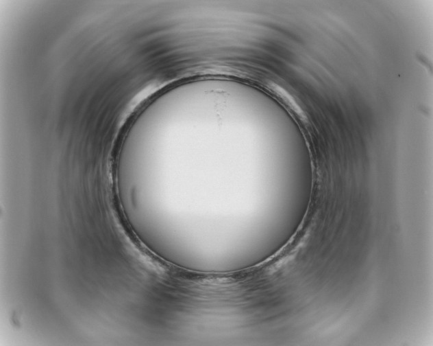 X0000096411133200801241019